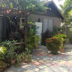 11 Glenhope Avenue , Kingston Jamaica